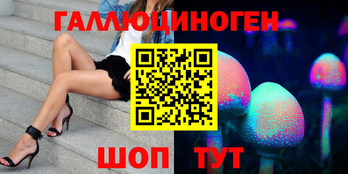 Городец  где купить наркотик  Галлюциногенные грибы GOLDEN TEACHER  Вход с VPN  Галлюциногенные грибы MAGIC MUSHROOMS 