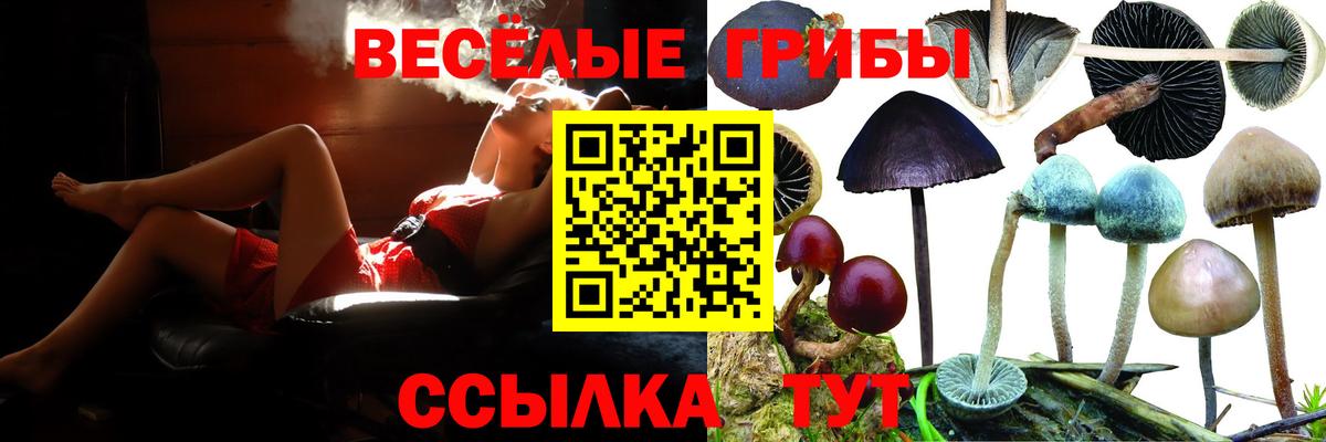 Галлюциногенные грибы прущие грибы Городец